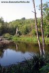 Teich_k