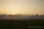 Nebel 2_small