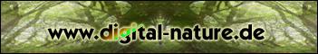 wwwdigital-naturede